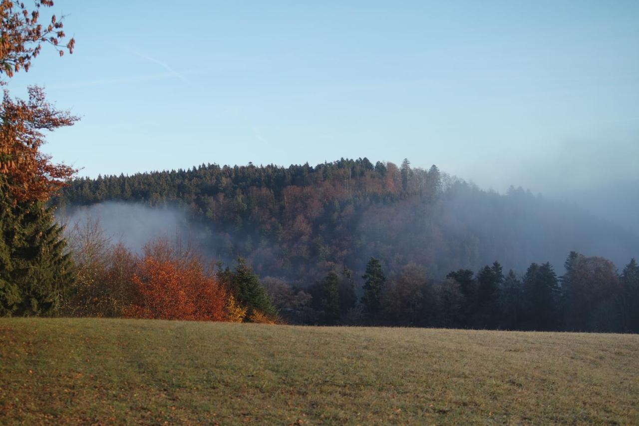 Alb Chalet Messstetten Bagian luar foto